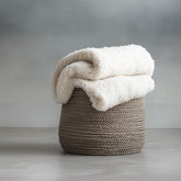 Dazzling Light Oyster Gray